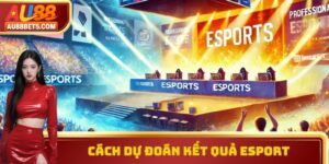 Cách Dự Đoán Kết Quả Esport Chuẩn Xác Cho Tân Thủ AU88