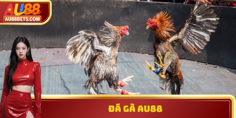 Đá Gà AU88 - Sảnh Cược Đầy Gay Cấn, Hấp Dẫn Nhất 2025