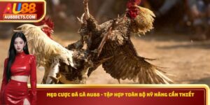 Mẹo Cược Đá Gà AU88 - Tập Hợp Toàn Bộ Kỹ Năng Cần Thiết